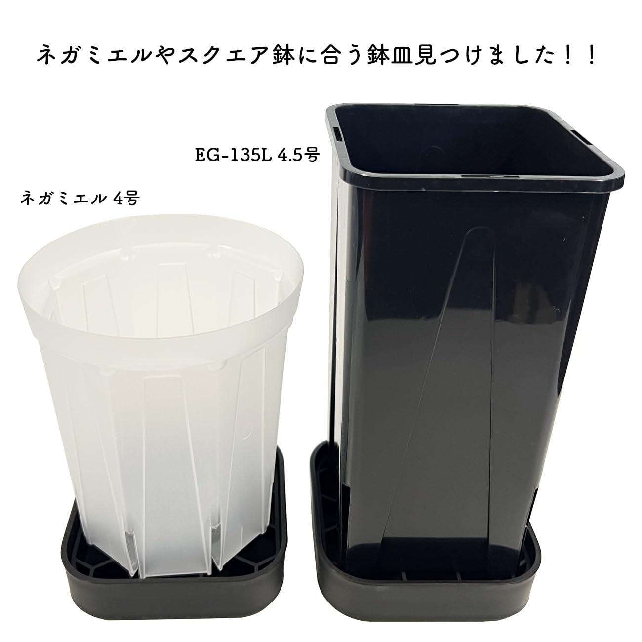 平鉢Hiyodori6号用受け皿　6個 Amazon | プレステラプレート120 ブラック 6個セット スクエア型